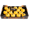 Caja melocotón amarillo embolsado D.O.P. Melocotón de Calanda calibre 16.
